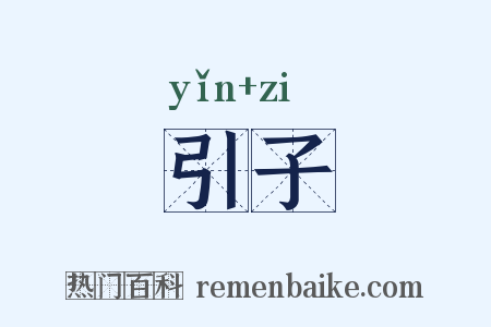 引子是什么意思的图片
